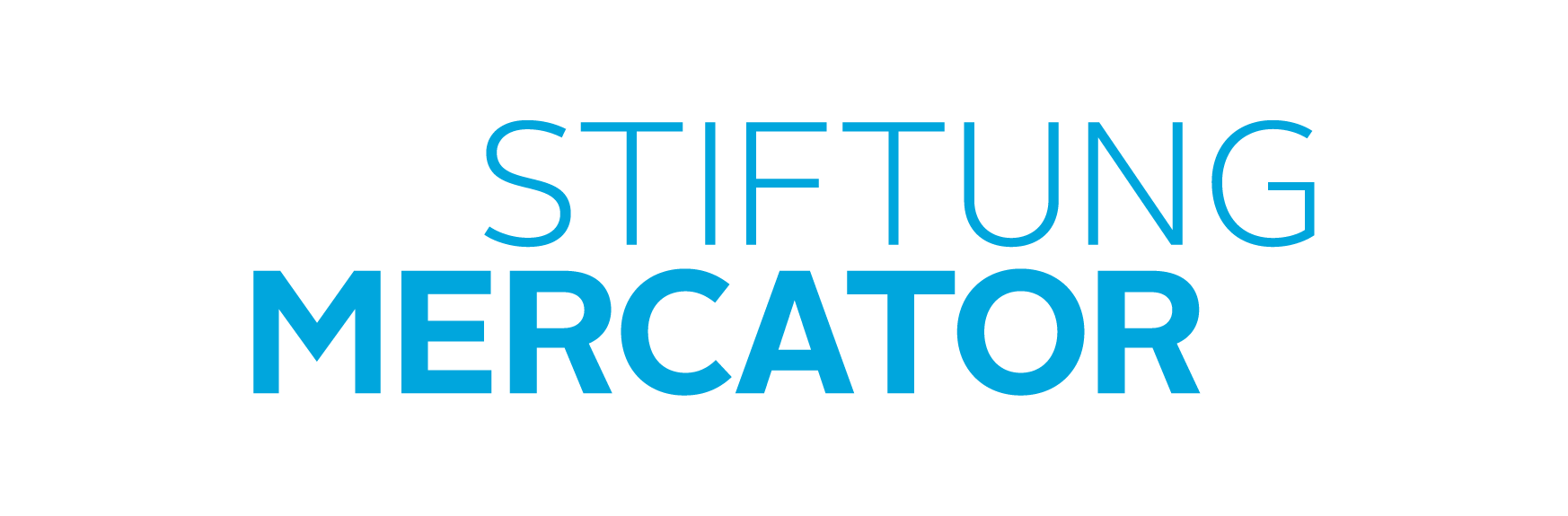 Stiftung Mercator